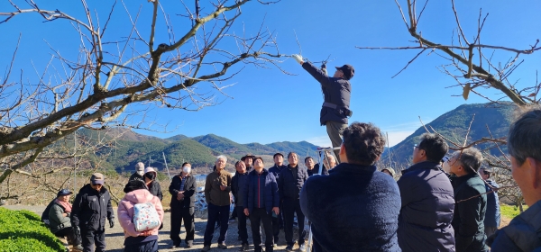 ▲전정 교육 모습(사진제공=함평군)