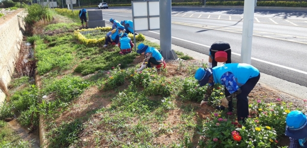 ▲고흥군은 ‘2024년 장애인 일자리사업’ 참여자를 모집했다.(사진제공=고흥군)