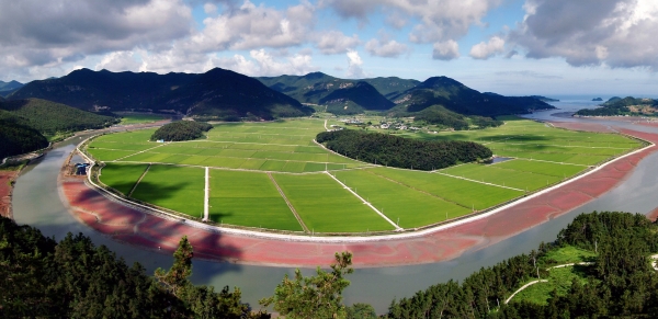 ▲친환경 농업단지(사진제공=전라남도)