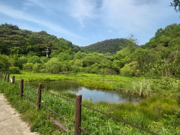 ▲평두메습지(사진제공=광주 북구)