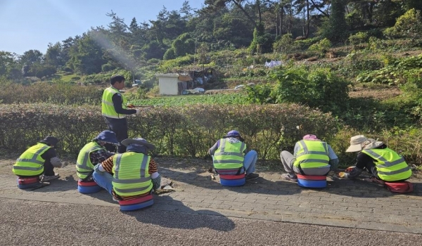 ▲전라남도는 ‘2024년 지역공동체 일자리사업’을 본격 추진한다.(사진제공=전라남도)