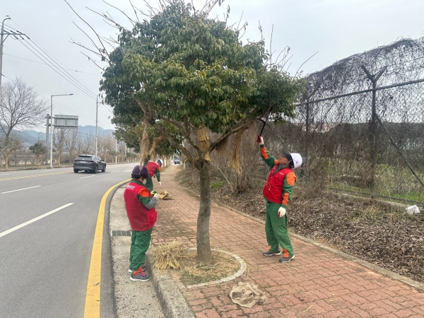 ▲장흥군 지난 4일 목재산업지원센터에서 경관조성 근로자 24명과 근로계약을 체결하고 본격적인 녹지관리 작업에 돌입했다.(사진제공=장흥군)