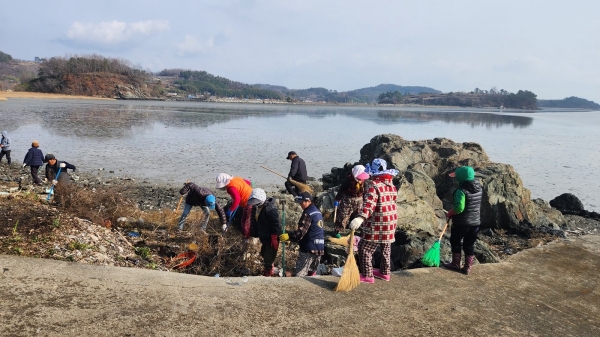 ▲해안가 주변 불법 투기 쓰레기 수거 작업(사진제공=보성군)