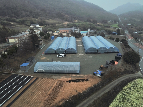 ▲진도군이 고군면 향동리 일원에 1,000여평 규모의 꽃 양묘장을 신축, 운영하고 있다.(사진제공=진도군)