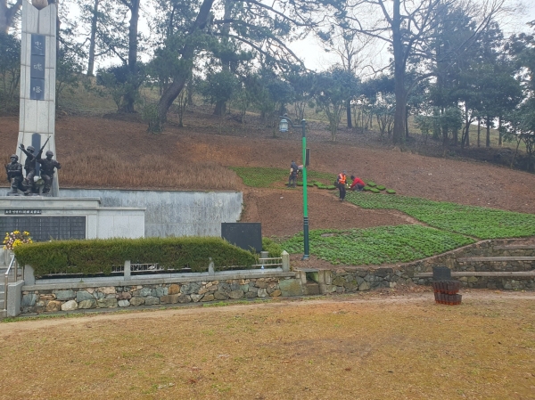 ▲군강공원 작업중(사진제공=진도군)