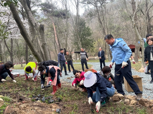 ▲참가자들이 맥문동을 심고 있다.(사진제공=강진군)