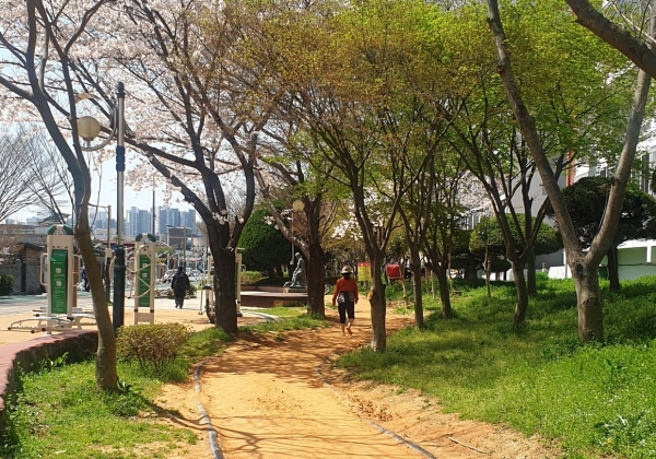 ▲목포시가 맨발길 등 걷기 좋은 환경에 힘쓰는 가운데 목포웰빙공원 맨발길을 한 시민이 걷고 있다.(사진제공=목포시)
