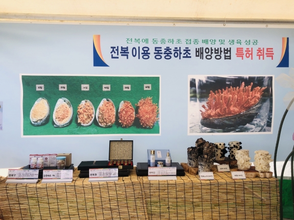 ▲특허 출원 및 지적 재산권을 확보한 버섯 관련 제품들 전시(사진제공=완도군)