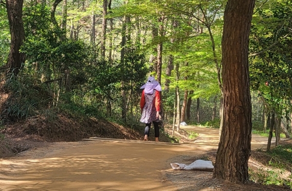 영암군, ‘어르신 걷기 마일리지’ 2차 챌린지 진행