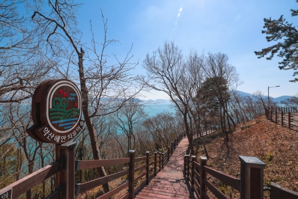 ▲완도 약산 해안 치유의 숲 전경(사진제공=완도군)