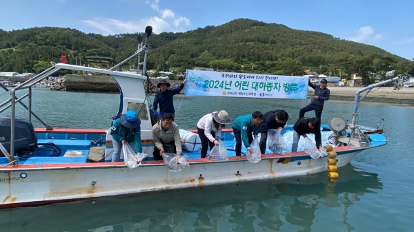 ▲완도군은 지난 8일 어린 대하 종자 200만 마리를 방류했다.(사진제공=완도군)
