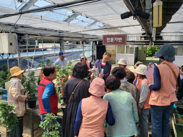 ▲고찬훈 자원기술팀장이 울진야생화연구회 회원 대상으로 국화재배기술 시연을 하고 있다.(사진제공=함평군)