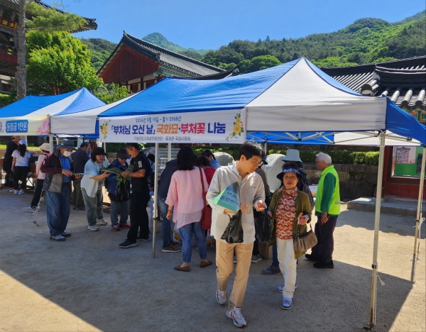 ▲구례군은 지난 15일 화엄사와 천은사에서 부처님 오신 날을 기념해 부처꽃·원추리·국화묘 등 5,000주를 무상 나눔 했다.(사진제공=구례군)