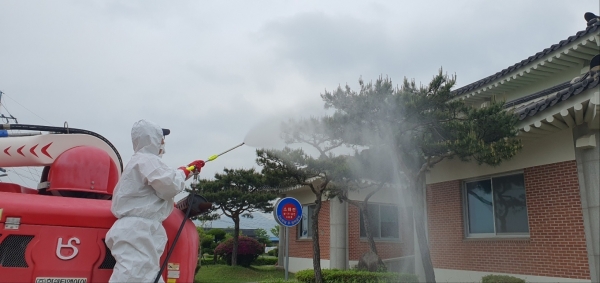 ▲예찰방제단이 보호수와 가로수를 방제하고 있다.(사진제공=강진군)