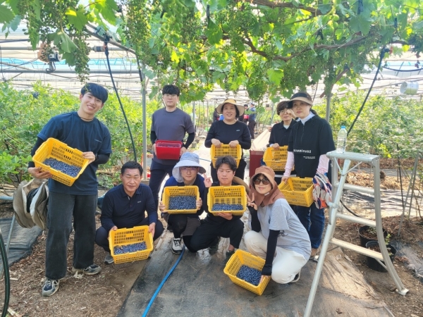 ▲장흥군 장평면은 지난 29일 장평면 우산리 소재 블루베리 농장을 찾아 농촌 일손돕기에 나섰다.(사진제공=장흥군)