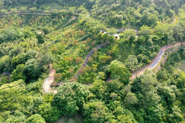 ▲완도군 편백숲 산림공원에 맨발로 걷기 좋은 길인 ‘어싱 로드(earthing road)’가 조성됐다.(사진제공=완도군)
