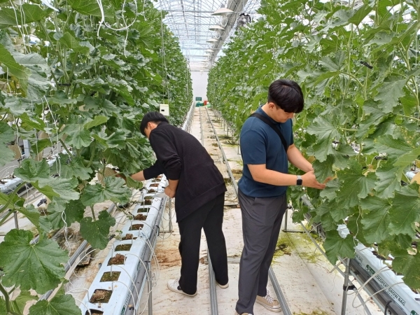 ▲특화작목연구단지 테스트베드 견학(사진제공=고흥군)