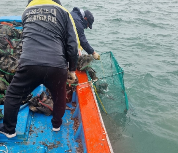 ▲키조개 시범 양식 ‘연구·교습어장’운영을 위해 키조개 종패를 입식하고 있다.(사진제공=보성군)