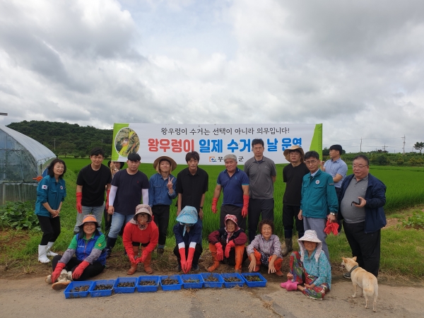 ▲무안군은 논 잡초 제거에 이용된 왕우렁이로 인한 피해 예방을 위해 수거와 예방 활동에 동참을 당부했다.(사진제공=무안군)