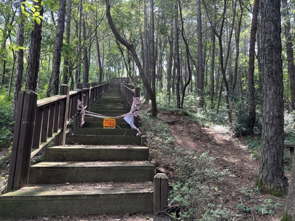 ▲제봉산 데크 계단(사진제공=장성군)