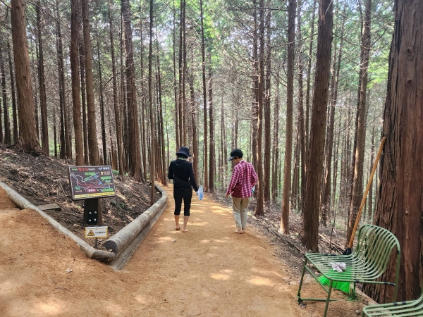 ▲억불산 산림욕장 황톳길(사진제공=장흥군)