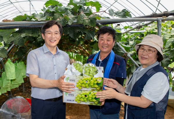 ▲우승희 영암군수가 지난 20일 영암군 금정면의 한 포도 재배농가를 찾아 갓 수확한 샤인머스켓 홍보에 나섰다.(사진제공=영암군)