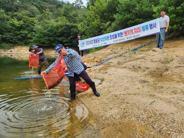 ▲영광군은 지난 27일 군남면 용암저수지와 불갑면 불갑저수지에 어린 동자개 30만 마리와 어린 자라 1만 2천 마리를 방류했다.(사진제공=영광군)