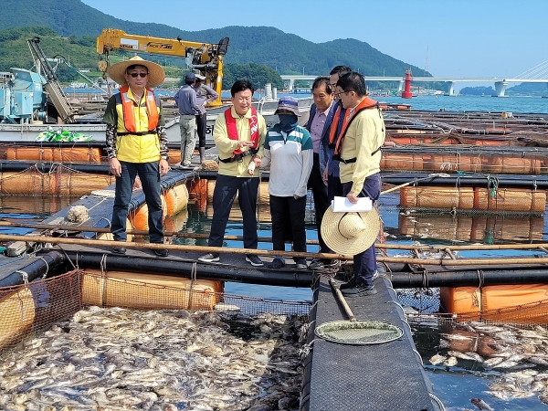 ▲여수시는 고수온으로 양식어류 폐사 피해를 본 어가를 대상으로 추석 전까지 재난지원금을 지급한다.(사진제공=여수시)