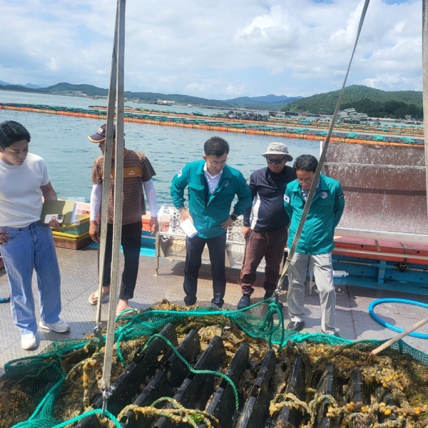 ▲고수온 피해 현장(사진제공=전라남도)