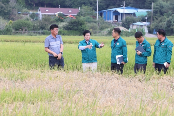 ▲공영민 고흥군수가 지난 14일 벼멸구 피해현장에서 발생현황조사와 피해 최소화를 위한 대책을 강구하도록 지시하고 있다.(사진제공=고흥군)