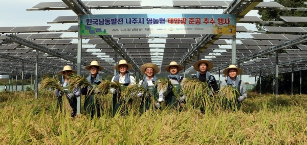 ▲농지에서 벼를 재배·수확하고 태양광 전력도 생산할 수 있는 나주지역 첫 번째 ‘영농형 태양광’ 사업이 첫 수확 결실을 이뤘다.(사진제공=나주시)