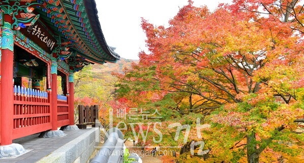 문수사와 애기단풍