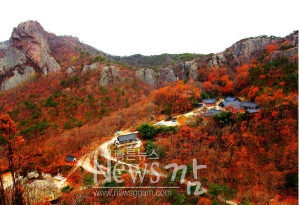 고창군 가을 단풍 여행의 백미 선운산 단풍.