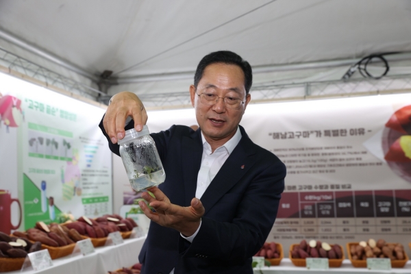 ▲해남미남축제 고구마 전시관(사진제공=해남군)