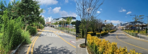 ▲나주초등학교와 이화유치원 어린이보호구역 내 ‘자녀안심 그린숲’ 조성 전후 모습.(사진제공=나주시)