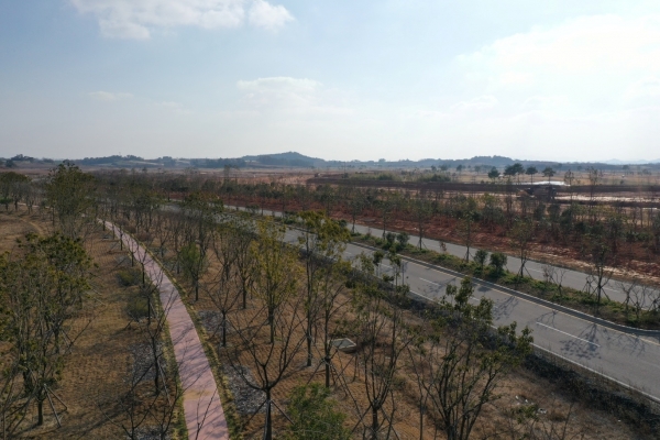 ▲해남군 산이면 솔라시도 주택 예정단지 인근에 미세먼지 저감을 위한 기후대응 도시숲이 완공됐다.(사진제공=해남군)