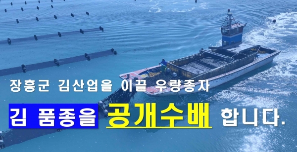▲장흥군이 기후변화와 해양 환경 변화에 대응하여 지속 가능한 김 양식 산업을 위해 ‘우량 김 품종’ 발굴 프로젝트에 착수했다.(사진제공=장흥군)