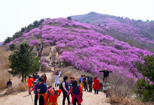 ▲여수 영취산(사진제공=여수시)