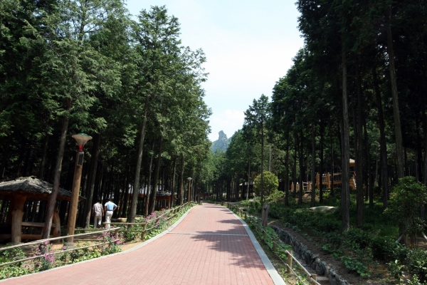 ▲억불산우드랜드산책로(사진제공=장흥군)
