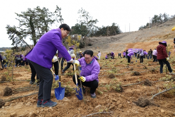 ▲제80회 나무심기행사 식재 모습(사진제공=신안군)