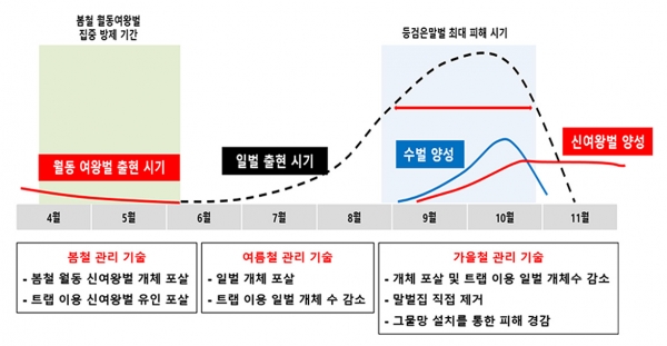 ▲영광군은 봄철 양봉장 꿀벌을 집중적으로 가해하는 등검은말벌의 적기 방제를 당부했다.(사진제공=영광군)