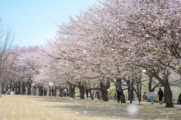 ▲풍덕수변공원(사진제공=순천시)