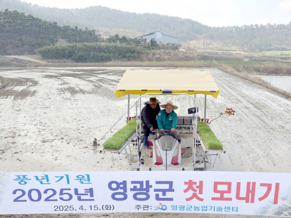 ▲영광군은 지난 15일 군남면 반안리에서 올해 첫 모내기를 실시했다.(사진제공=영광군)