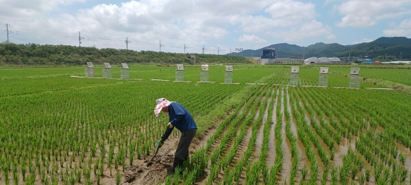 ▲저탄소 인증농가(사진제공=전라남도)