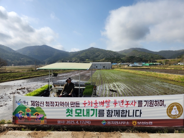 ▲웅치면 대산리 박순선 농가에서 2025년산 웅치 올벼쌀 생산을 위한 첫 모내기를 시작했다.(사진제공=보성군)