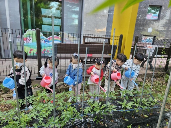 ▲어린이집 어린이들이 급식관리지원센터에서 배부한 채소 모종에 물을 주고 있다.(사진제공=순천시)
