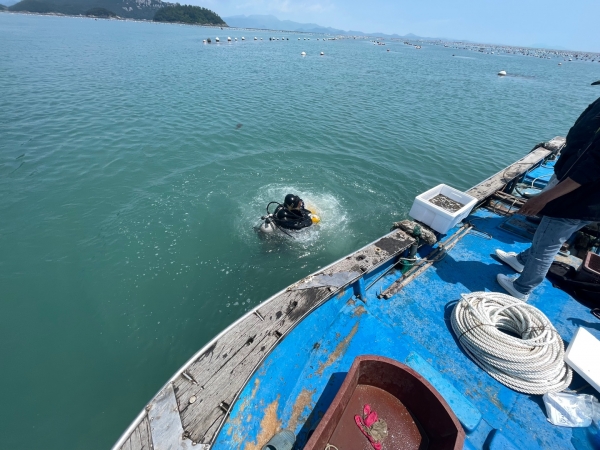 ▲완도 정도리 해삼(사진제공=전라남도)