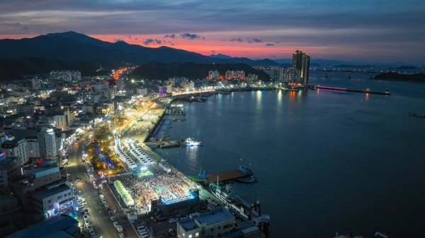 2025 완도장보고수산물축제(축제장 야경 전경)