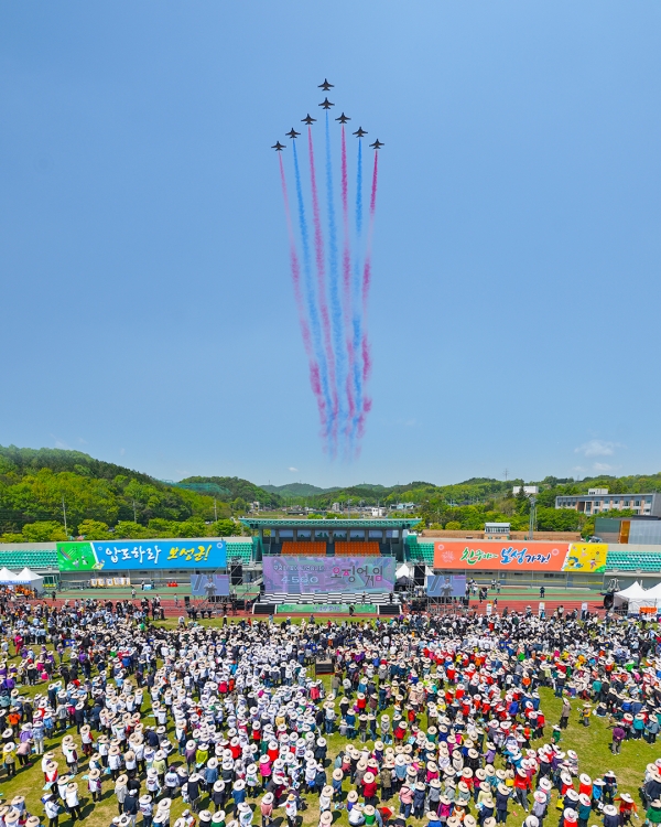 ▲ 대한민국 공군 특수비행팀 블랙이글스가 개막축하 에어쇼를 펼치고 있다.(사진제공=보성군)