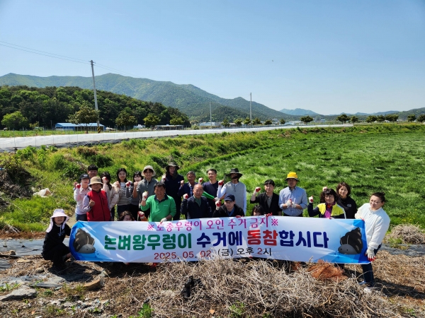 ▲장흥군은 지난 2일 행정·농업인·단체 합동으로 월동 왕우렁이 수거 활동을 추진했다.(사진제공=장흥군)